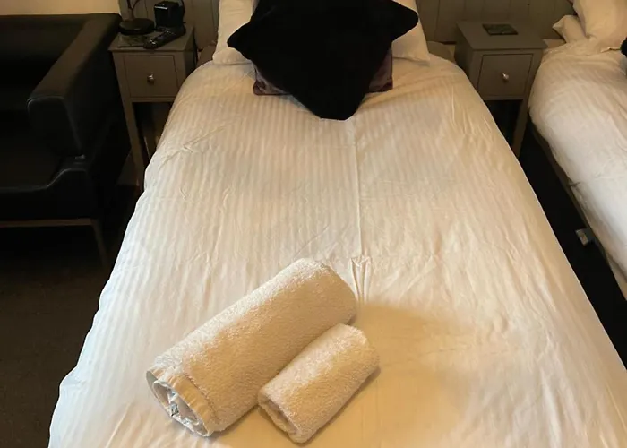 Guest house Monico 3*